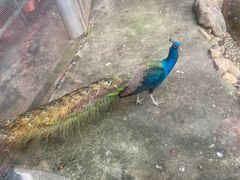 -厦门园林博览苑