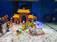 -上海海昌海洋公园