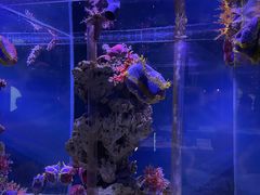 -太平洋海底世界