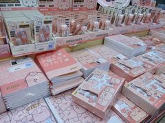 -鹏佳腾学生文创