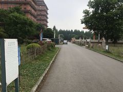 -华西村