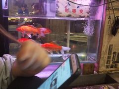 -粗粮人家·东北菜(洋桥店)