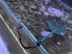 -聚盛源蒸汽海鲜火锅烤肉自助(巨川金海岸购物广场店)