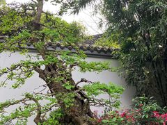 -成都杜甫草堂博物馆