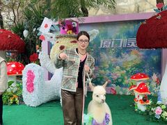 -灵玲国际马戏城