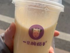 -一只酸奶牛(八一路店)