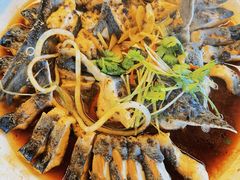 -京北渔家傲