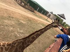 -鄂尔多斯野生动物园