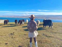 -青海湖国家重点风景名胜区