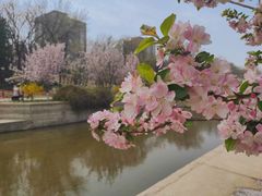 -海棠花溪(元大都城垣遗址公园)