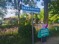 -黄海国家森林公园