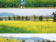-光明小镇欢乐田园