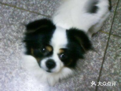 林峯演唱会