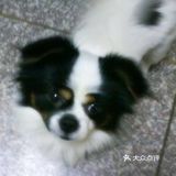 林峯演唱会