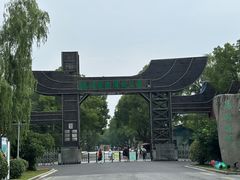 -溱湖国家湿地公园