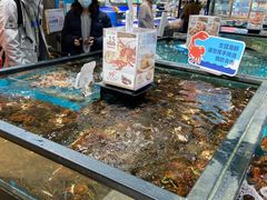 水产区-盒马鲜生(皇庭广场店)
