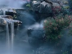 -东莞植物园