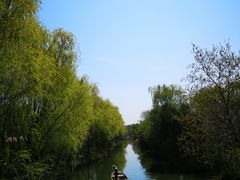 -溱湖国家湿地公园