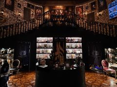 -雪灵魔法世界SHELLY’S TAROT(大良桂畔里店)