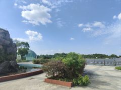 -上海都市菜园