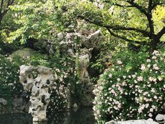 -巡塘古镇