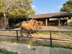 -南昌动物园