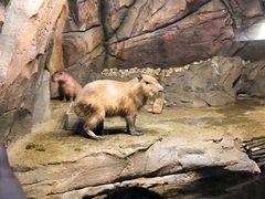 -哈尔滨波塞冬海底世界