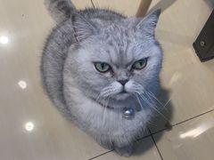 -Oasis绿洲银饰珍珠手作diy(壹方城店)