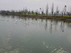 -艾溪湖湿地公园