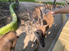 -北京野生动物园