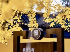 -秋霞圃