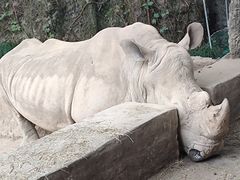 -杭州野生动物世界