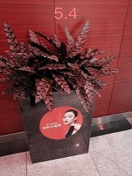 -Yestar杭州艺星医疗美容医院