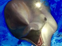 洗手间的3D地画-正佳极地海洋世界