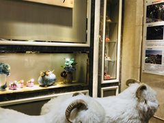 -新兴家喻酒家·羊城名宴(昌岗店)