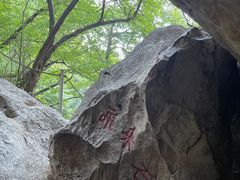 -皇藏峪国家森林公园