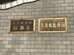 -洛阳市隋唐城遗址植物园