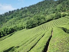 -敬亭山风景名胜区