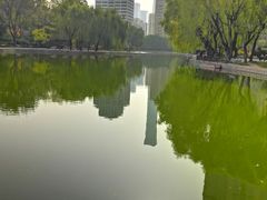 -团结湖公园