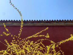 -北京市劳动人民文化宫(太庙)