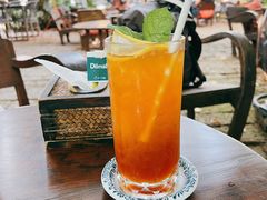-Fern Forest Cafe