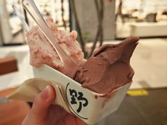 -野人先生Gelato(上海长宁龙之梦店)