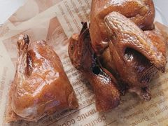 -鸽小宝(深圳首店)