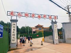 -新川办餐厅