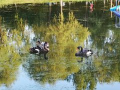 -长春世界雕塑园冰雪艺术天地