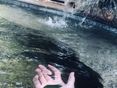 -金穗园温泉酒店