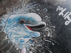 -西归浦每天偶来市场