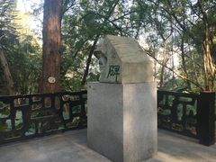 -广州雕塑公园