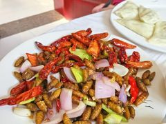 -宾朋海鲜特色美食餐厅·纯手工鲅鱼水饺(兴海路店)