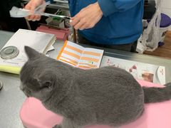 -荔康动物医院(康王北路店)